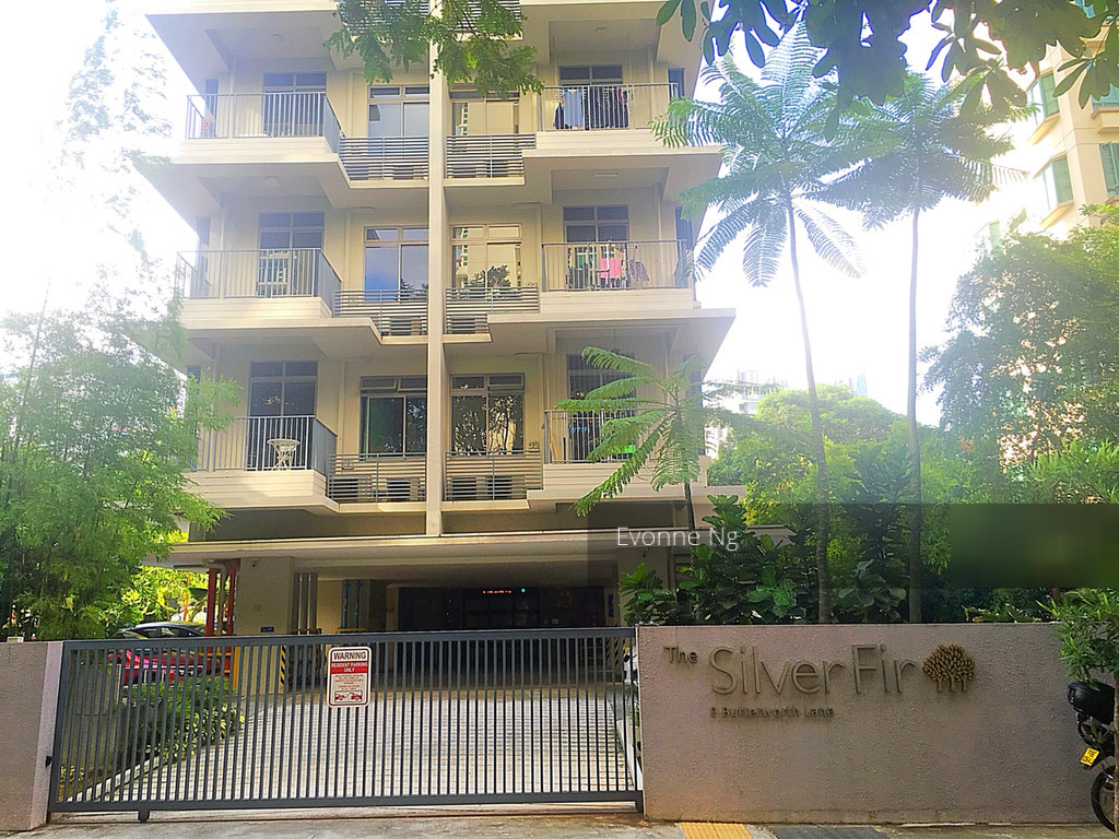 The Silver Fir (D15), Apartment #124502302